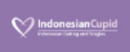 Logo Indonesiancupid.com